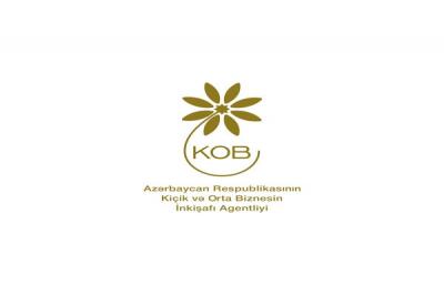 Azərbaycanda I rübdə 16 sahibkara "Startap" şəhadətnaməsi verilib