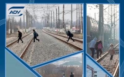 Yola kənar insan müdaxiləsinə görə 4 toqquşma hadisəsi baş verib -  ADY