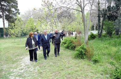 İsa Həbibbəyli AMEA-nın Nadir ağaclar parkına baxış keçirib