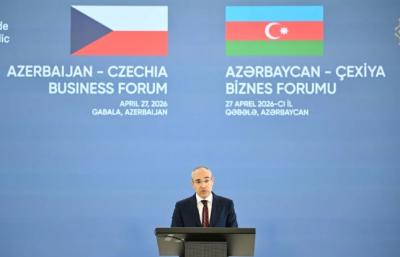 "Çexiyanın enerji təhlükəsizliyinə mühüm töhfə veririk" -  Mikayıl Cabbarov