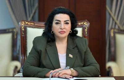"Azərbaycan qlobal miqyasda öz mövqeyini daha da möhkəmləndirməkdə davam edir" -  Millət vəkili