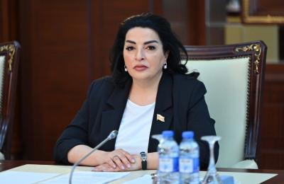 "Bu, regional təhlükəsizlik və iqtisadi inkişaf baxımından mühüm faktor kimi çıxış edir" - Millət vəkili