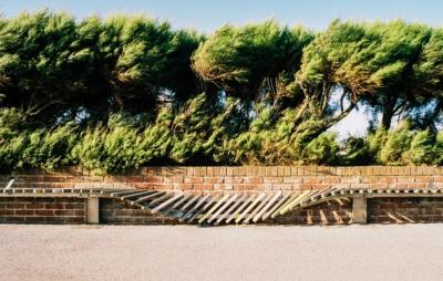 Bakıda güclü külək əsəcək - XƏBƏRDARLIQ