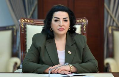 "Üçrəngli bayrağımız ən yüksək zirvələrdə dalğalanmağa davam edəcək" - Millət vəkili