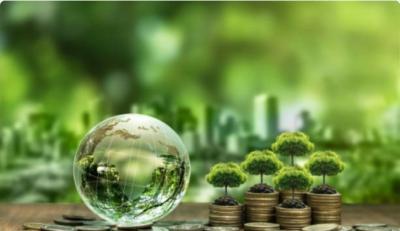Banklar yaşıl kreditlər üzrə Mərkəzi Banka hesabat verəcək