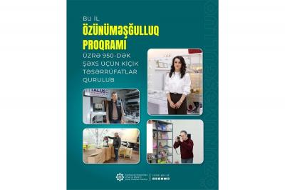 Bu il özünüməşğulluq proqramı üzrə 950-dək şəxs üçün kiçik təsərrüfatlar qurulub