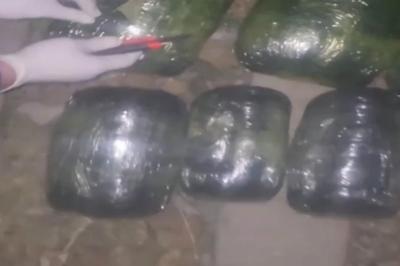 Suraxanıda 12 kiloqram narkotik aşkarlanıb