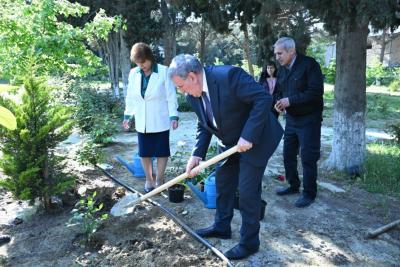 Nadir ağaclar parkının ərazisində müxtəlif növ ağac tingləri və gül kolları əkilib