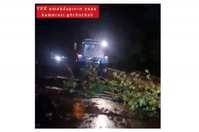 Ağac yola aşıb, maşınların hərəkətində çətinlik yaranıb