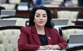 “Tikinti sahəsində şəffaflığın artırılması, yeni normativ-hüquqi bazanın formalaşdırılması bu sahədə keyfiyyətli dönüş yaradıb” - Millət vəkili