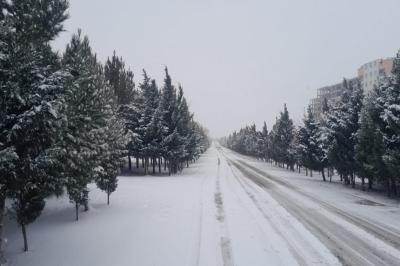Şahdağda qar yağır