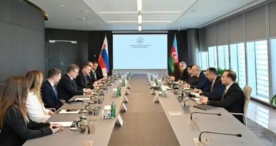 Azərbaycanla Slovakiya arasında iqtisadi-ticarət əməkdaşlığı müzakirə edilib