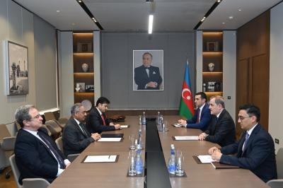 "WUF-13 yüksək səviyyədə təşkil olunub" -  D-8-in Baş katibi
