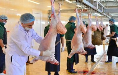 Qurban bayramı ilə bağlı təhlükəsiz heyvan kəsimi və satışına nəzarət gücləndirilib -  AQTA