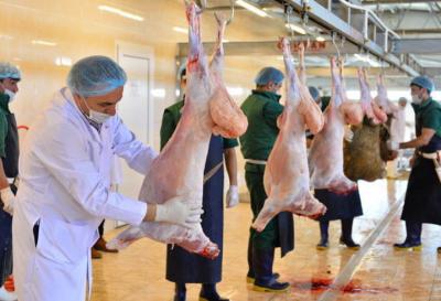 Qurban bayramı ilə əlaqədar təhlükəsiz heyvan kəsimi və satışına nəzarət gücləndirilib