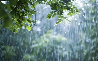 Azərbaycanda bəzi ərazilərdə yağış yağır, küləkli hava şəraiti davam edir -  FAKTİKİ HAVA