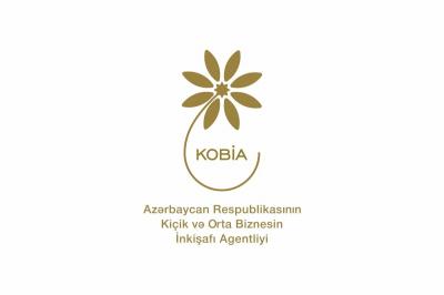 İnvestisiya Portalında indiyədək 170-dən çox layihə yerləşdirilib -  KOBİA