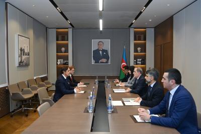 Ceyhun Bayramov Braziliyanın yeni səfirinin etimadnaməsinin surətini qəbul edib