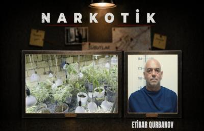 Novxanıda narkobunker aşkarlanıb -  VİDEO