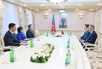 Almaniya səfiri Azərbaycan və Ermənistan arasında sülh prosesində əldə olunmuş nailiyyətləri  təqdir edib