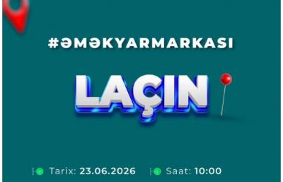 Laçında minaaxtaran peşəsi üzrə əmək yarmarkası keçiriləcək