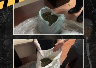 İsmayıllıda meşə ərazisində külli miqdarda narkotik aşkarlanıb