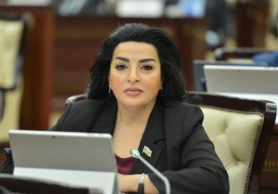 "Azərbaycan Ordusu regionun ən güclü ordularından biridir" - Millət vəkili 