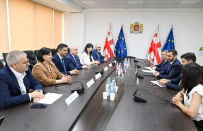 DSMF sədri Gürcüstan Sosial Xidmət Agentliyinin direktoru ilə görüşüb