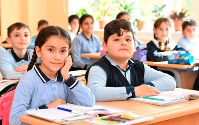 "Uşağa sadəcə “telefona baxma” demək kifayət etmir" - Şura katibi