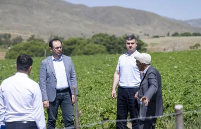 Məcnun Məmmədov Lerikdə təsərrüfatlara baxış keçirib