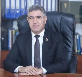 "Bu məhsul üzrə ticarət məbləği 540 min dollar olub" -  Millət vəkili 