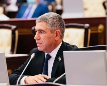 "Bu məhsul üzrə ticarət məbləği 540 min dollar olub" -  Millət vəkili 