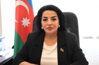 "Böyük Qayıdış Proqramının uğurla icrası güclü dövlət idarəçiliyinin və strateji planlaşdırmanın real nəticəsidir" - Millət vəkili 