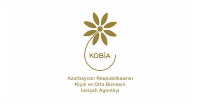 Bu ilin I yarısında KOB evlərində sahibkarlara 312 mindən çox xidmət göstərilib