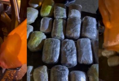 3,5 kiloqramdan artıq narkotik vasitə, 8 mindən çox çətənə kolu aşkarlanıb -  DİN