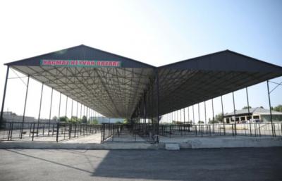 Xaçmazda heyvan bazarı fəaliyyətə başlayıb