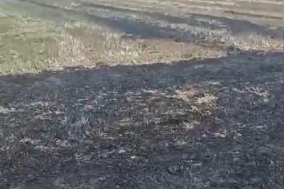 Oğuzda yanğın törədən şəxs məsuliyyətə cəlb olunub